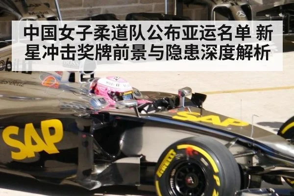 中国女子柔道队公布亚运名单 新星冲击奖牌前景与隐患深度解析